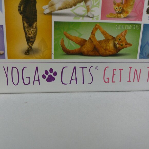 Eurographics Yoga Cats 1000 Piece Jigsaw Puzzle - Picture 2 of 10